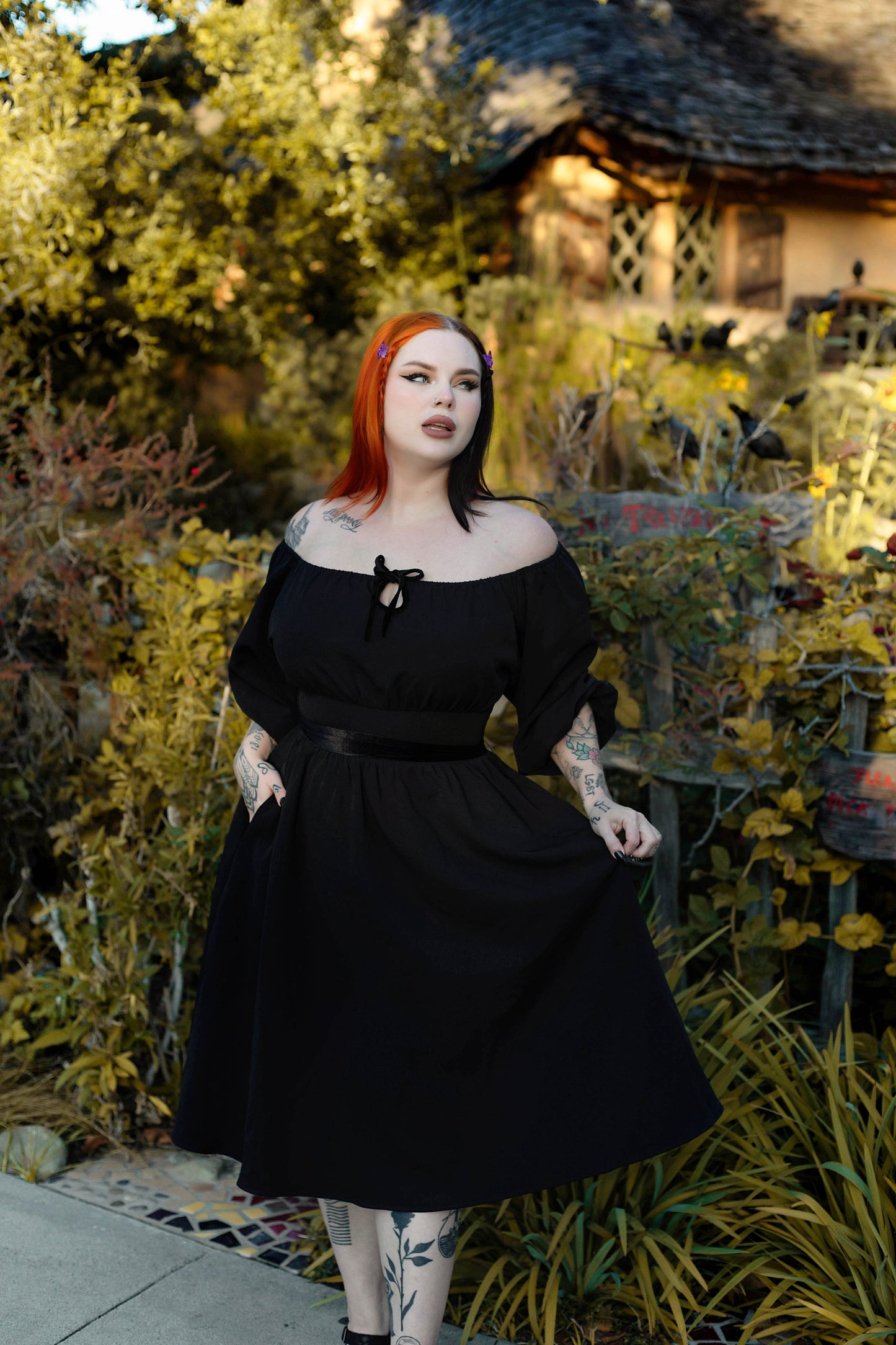 Eva Dress Black