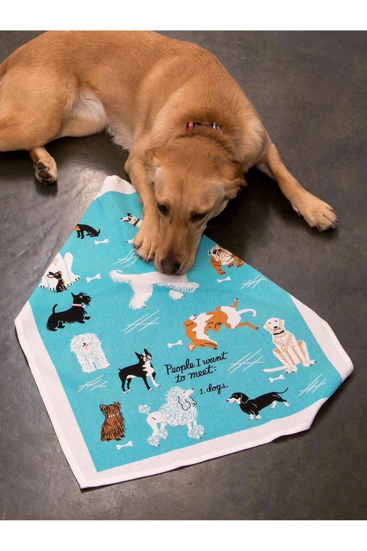 People To Meet: Dogs Dish Towel