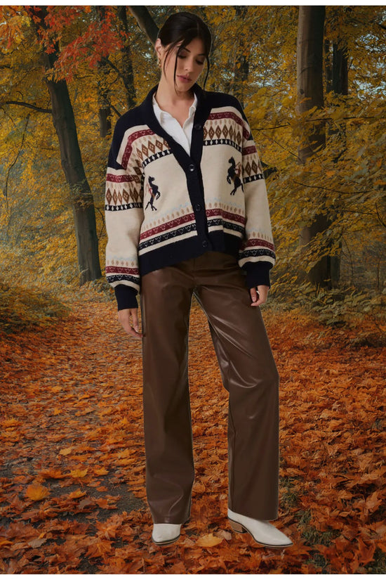 Button Up Western Oversize Sweater Cardigan