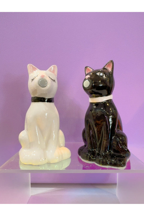 Feline Kiss Salt & Pepper Shaker Magnetic Set