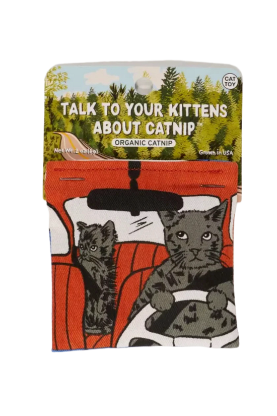 Talk To Your Kittens Catnip Cat Toy