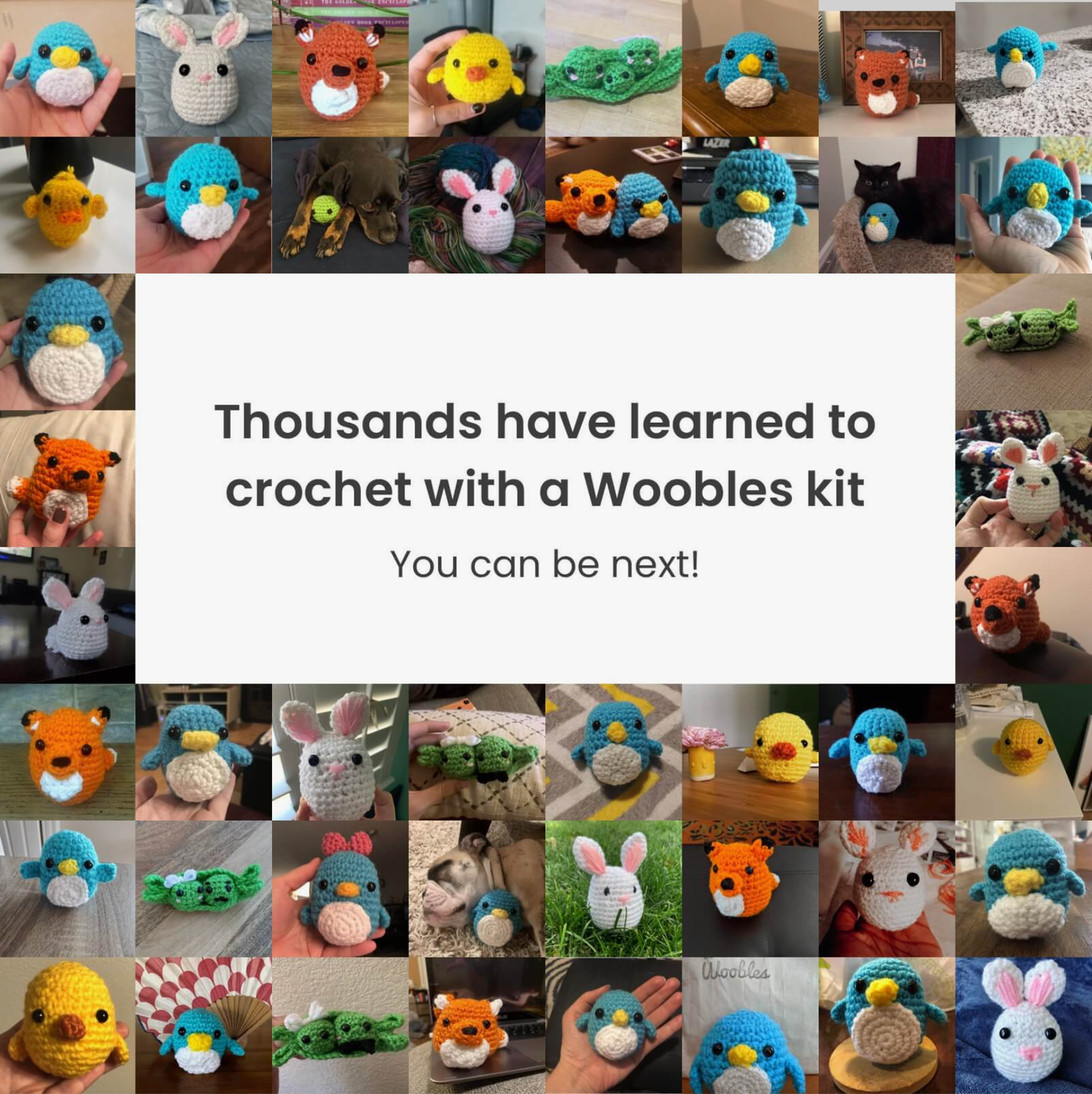 Fox Crochet Kit for Beginners
