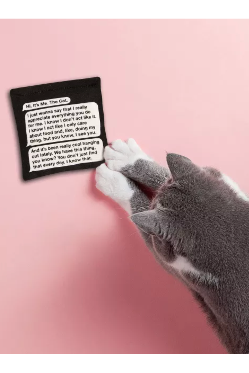 Load image into Gallery viewer, Rambling, Late-Night Text From Your Cat Catnip Toy
