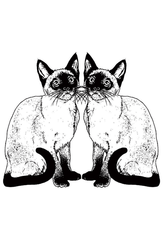 Kitties Charcoal Fleece Crop Hoodie